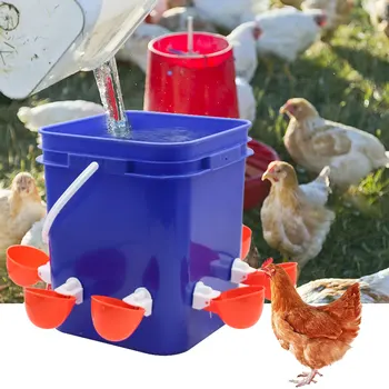 Цыпленок 3,2 Самонаполняющийся, 15 кормушек, Дозатор и набор для кормления, 4 галлона воды и стакана воды, 8 фунтов воды и дозатора для кормления.
