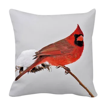 Чехлы для подушек из персиковой кожи Red Bird, Односторонний чехол для спинки дивана, чехол для подушки, Наволочки стандартного размера Оптом